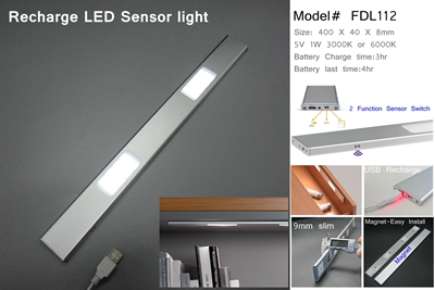 Battery Operated LED lights 