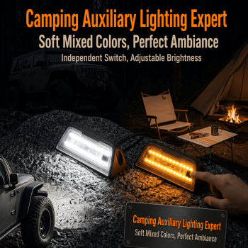 Dual Color RV Porch Light
